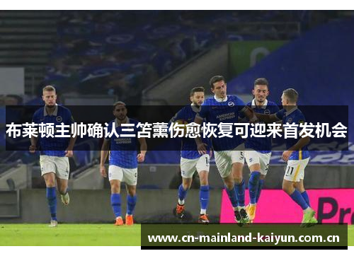 布莱顿主帅确认三笘薰伤愈恢复可迎来首发机会 布莱顿主帅确认三笘薰伤愈恢复可迎来首发机会
